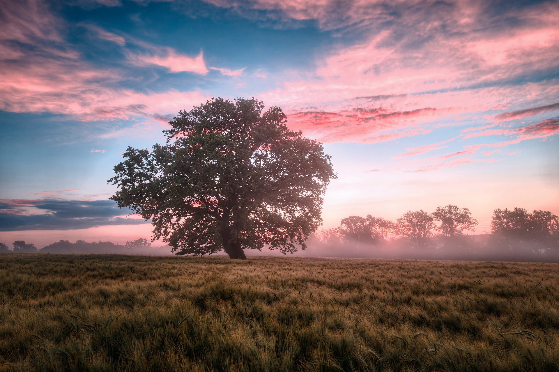 Natur- und Kulturpfad